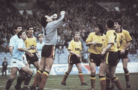 watford home 1988 to 89 action
