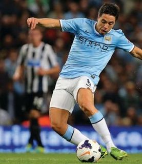 newcastle home 2013 to 14 nasri goal