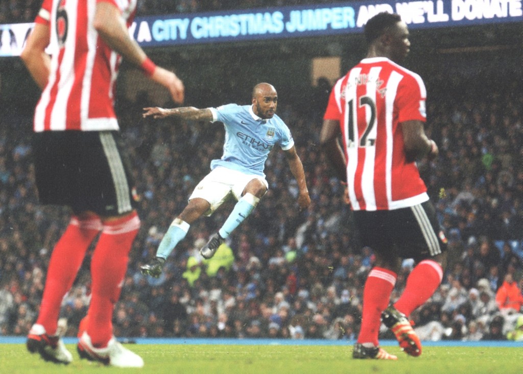southampton home 2015 to 116 delph goal