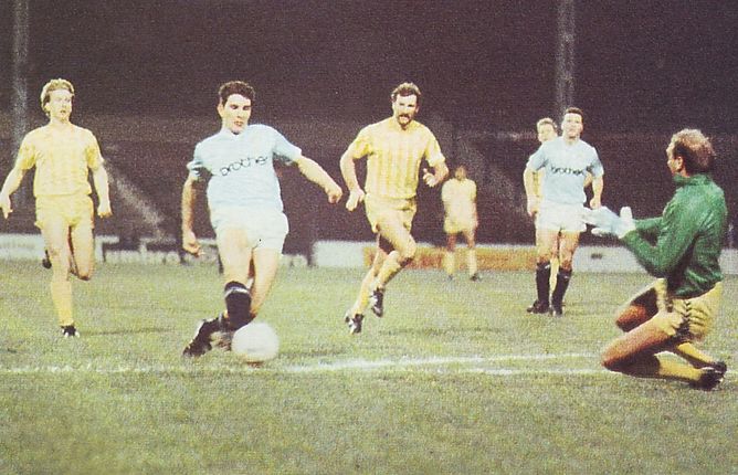 crystal palace home 1987 to 88 lake goal