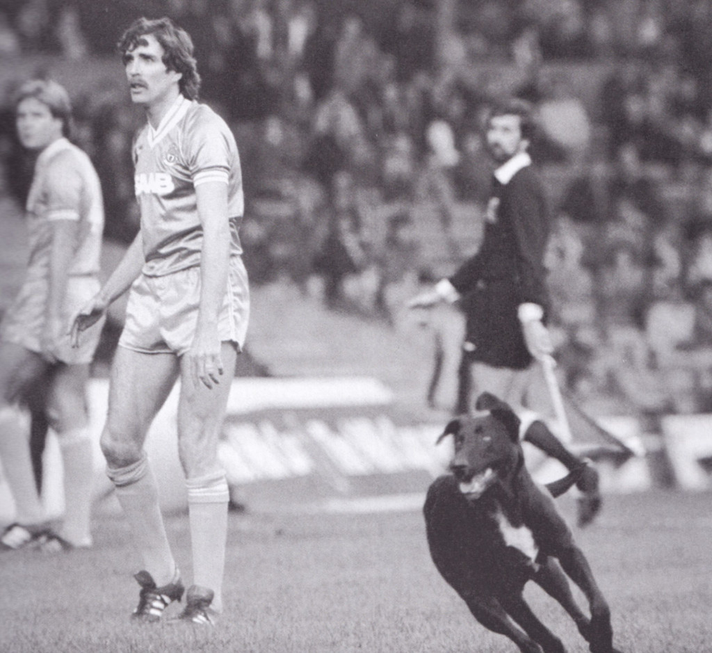 birmingham home 1982 to 83 dog on pitch