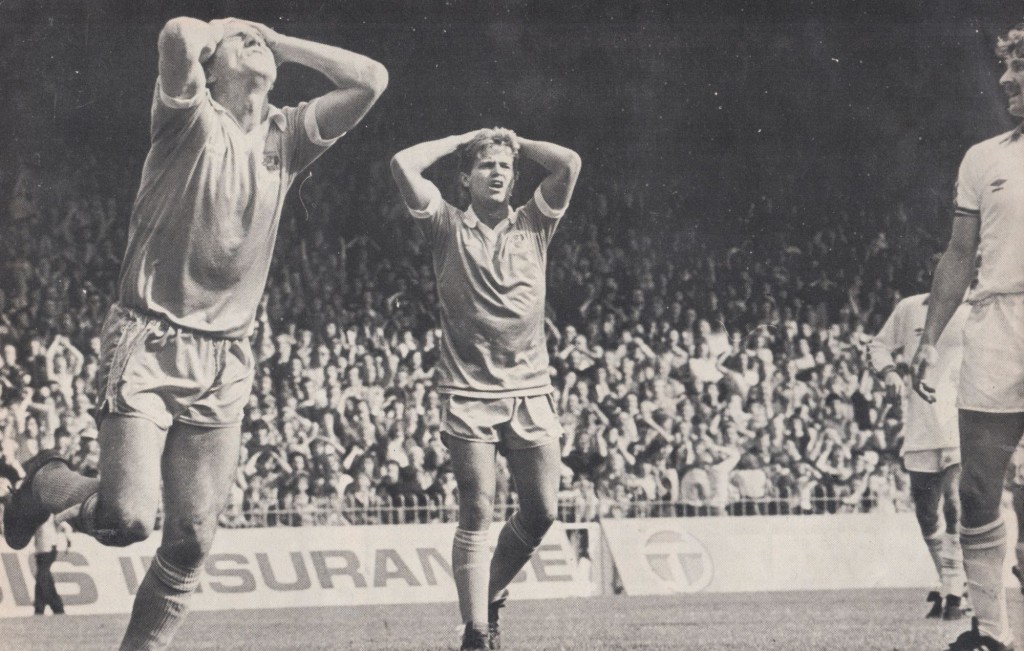 aston villa home 1980 to 81 action8