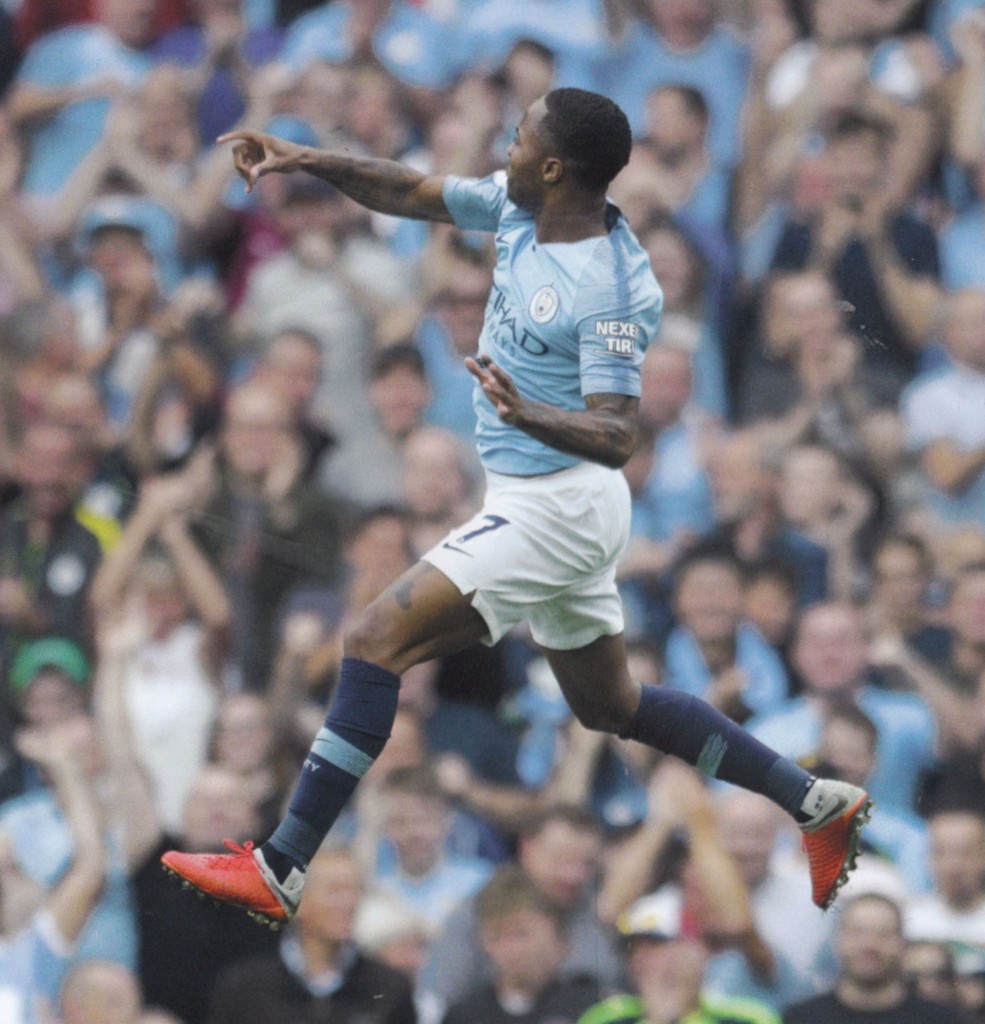 newcastle home 2018 to 19 sterling goal