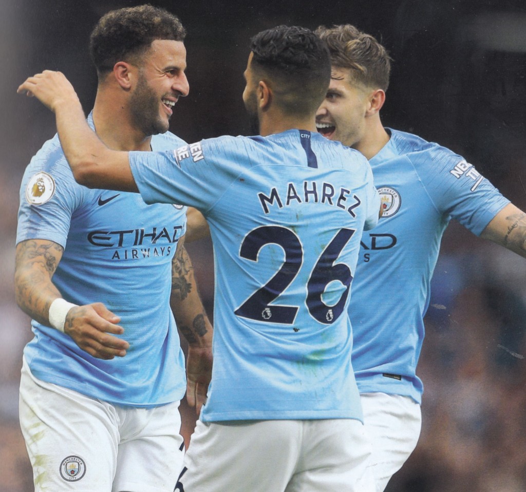 newcastle home 2018 to 19 walker goal