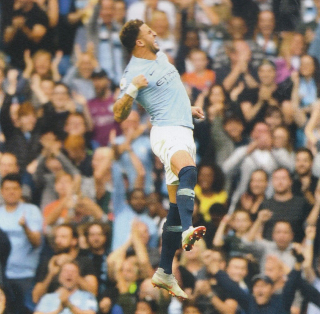 newcastle home 2018 to 19 walker goal4