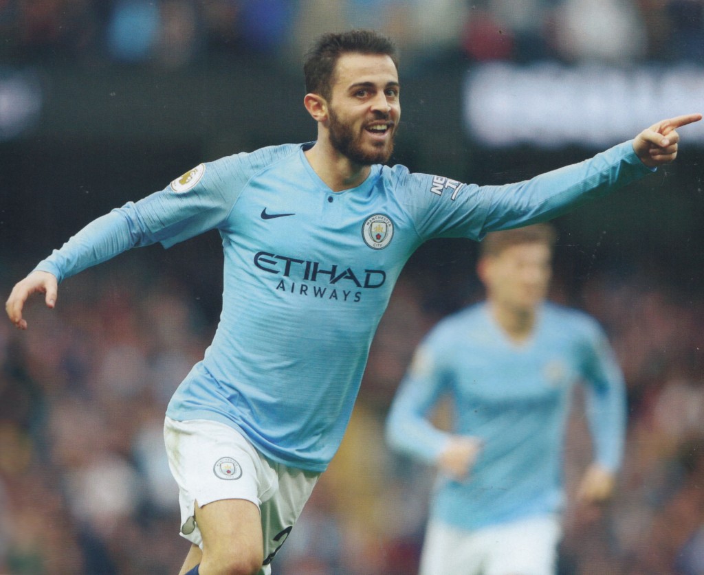 burnley home 2018 to 19 bernado goal