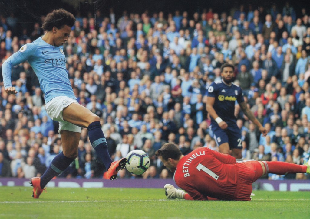 fulham home 2018 to 19 sane goal