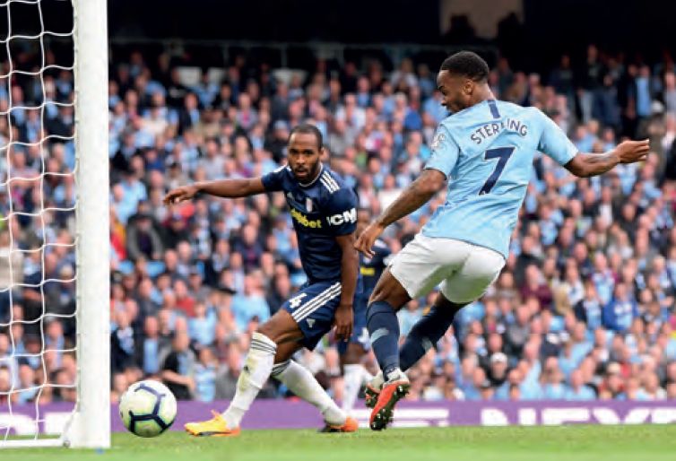 fulham home 2018 to 19 sterling goal