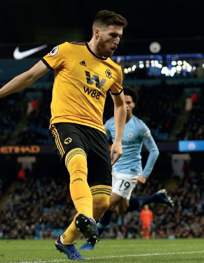 wolves home 2018 to 19 action