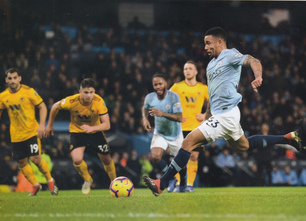 wolves home 2018 to 19 jesus pen