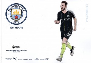 brighton home 2019 to 20 prog