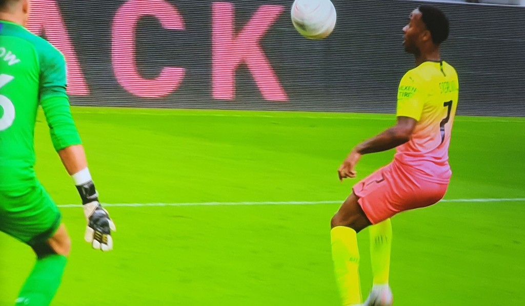 newcastle fa cup 2019 to 20 sterling goal